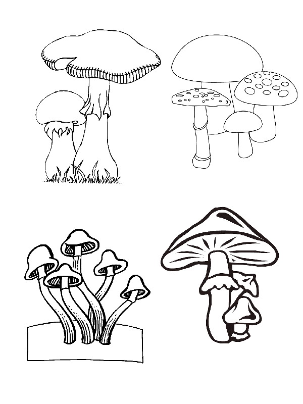 Plansa de colorat cu Toamna 73 152